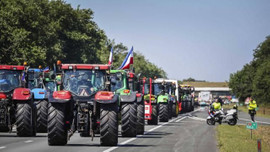 Hollandalı çiftçiler ülke genelinde hükümeti protesto ediyor